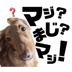 [LINEスタンプ] らぶぞぅ15