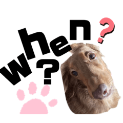 [LINEスタンプ] らぶぞぅ16
