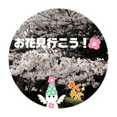 [LINEスタンプ] 春に使うメッセージです。