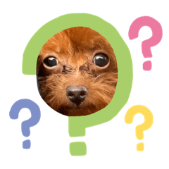 [LINEスタンプ] ふうちゃん成長してるね^ ^