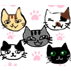 [LINEスタンプ] 色んなねこちゃんのすたんぷ