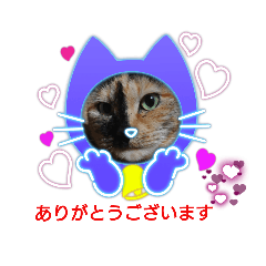 [LINEスタンプ] たわなつ4