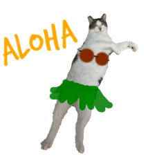 [LINEスタンプ] しゃーくさま