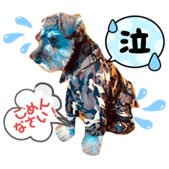 [LINEスタンプ] カッコいいカール！一言