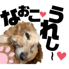 [LINEスタンプ] らぶぞぅ20