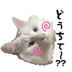 [LINEスタンプ] ぴことぴの。ワクワクすたんぷ