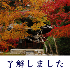 [LINEスタンプ] 鎌倉秋冬の風景写真たよりの画像（メイン）