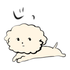 [LINEスタンプ] 手書きトイプードル♂②