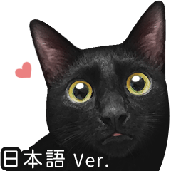 [LINEスタンプ] 苦悩の黒猫（日本語Ver.）