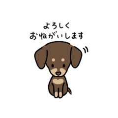 [LINEスタンプ] ダックスのスタンプ-敬語mix-