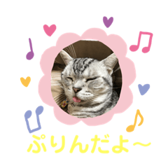 [LINEスタンプ] かわいいぷりんだにゃん
