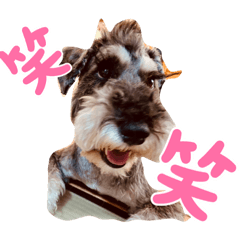 [LINEスタンプ] モヒカン・カールくんの一言