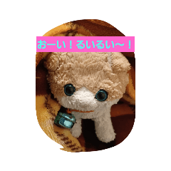 [LINEスタンプ] ねこねこですよ
