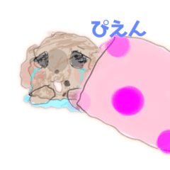 [LINEスタンプ] キタマユとかわいいペットたち