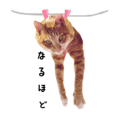 [LINEスタンプ] うりっぺスタンプ