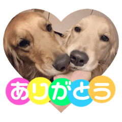 [LINEスタンプ] 柚桃スタンプ