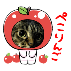 [LINEスタンプ] もみじちゃんフリースタンプ