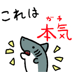 [LINEスタンプ] サメとカエルと時々クマ