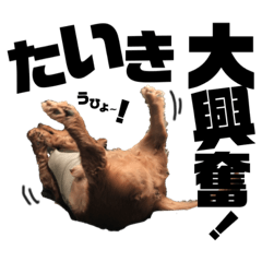 [LINEスタンプ] らぶぞぅ21