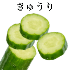 [LINEスタンプ] きゅうりです キュウリ 野菜の画像（メイン）