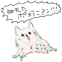 [LINEスタンプ] シンプル 風呂上りのポメラニアン 日常会話