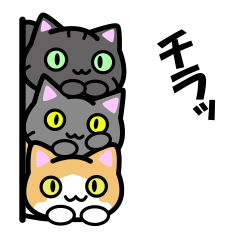 [LINEスタンプ] 【猫堂】にゃんこのあいさつ