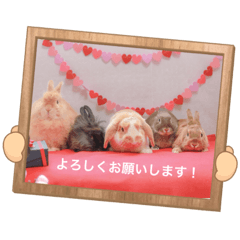 [LINEスタンプ] うさカフェりびと仲間たち②