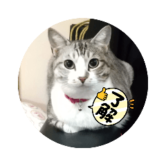 [LINEスタンプ] リモちゃん4