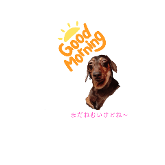 [LINEスタンプ] もんちゃん、もなか、時々まろさん