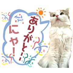 [LINEスタンプ] こうめさん15