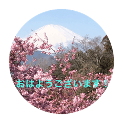 [LINEスタンプ] 春Photo
