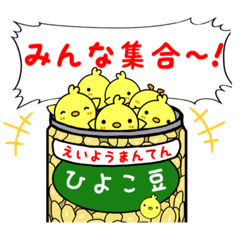 [LINEスタンプ] ひよこマメちゃん