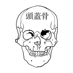 [LINEスタンプ] 骨BONE