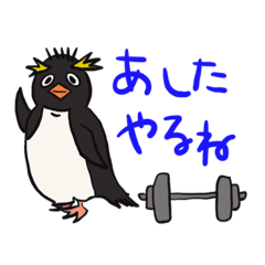 [LINEスタンプ] 基本こっち見てるペンギン