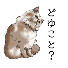 [LINEスタンプ] カナリヤが描いた猫の気持ちスタンプ