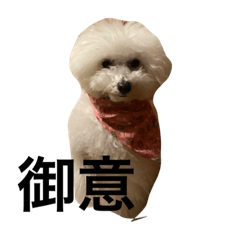 [LINEスタンプ] ピケその5