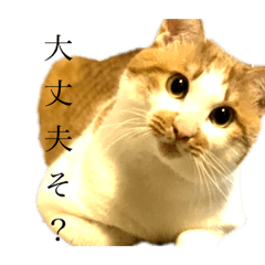 [LINEスタンプ] 下僕の至福スタンプ