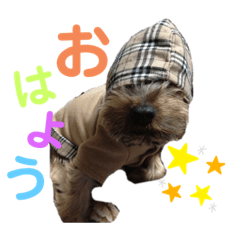 [LINEスタンプ] ちーず先生