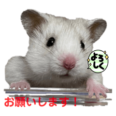 [LINEスタンプ] 可愛いちび子達2！