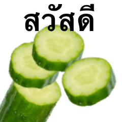 [LINEスタンプ] きゅうりです キュウリ 野菜 タイ語