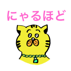 [LINEスタンプ] 猫ねこにゃお