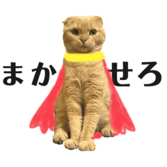 [LINEスタンプ] ちくわの日常（面白い）