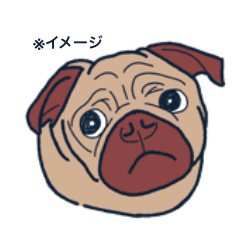 [LINEスタンプ] いぬのすてっかー