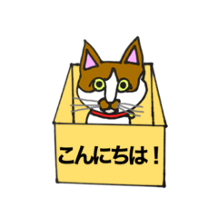 [LINEスタンプ] 保護猫タマ