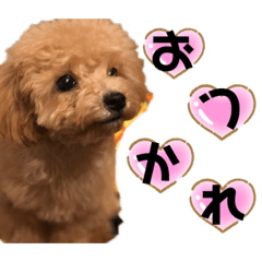 [LINEスタンプ] ぷてぃ♡2