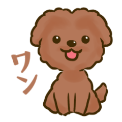 [LINEスタンプ] トイプードルの愛犬スタンプの画像（メイン）