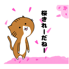 [LINEスタンプ] 春夏メイン！猫のみかんニャンの日常会話