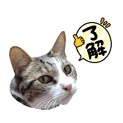 [LINEスタンプ] よるさん一家の画像（メイン）