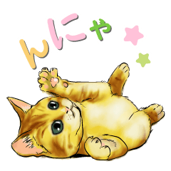 [LINEスタンプ] 日常あいさつ猫