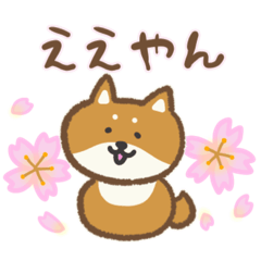 [LINEスタンプ] ハルイロゆる柴